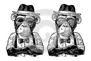 Monkey hipster with arms crossedin in hat, shirt, glasses and bow tie photo