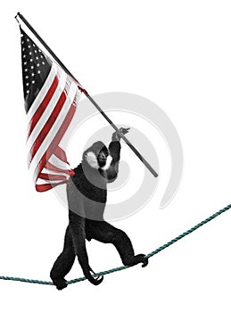 Monkey Holding Flag