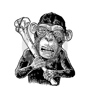 Monkey holding tibia. Vintage black engraving photo