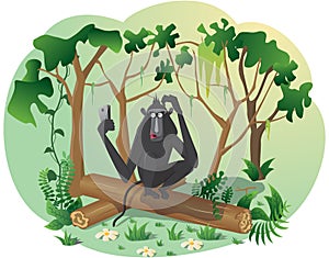 A monkey holds a smartphone