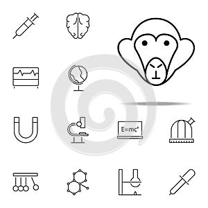 monkey icon. Scientifics study icons universal set for web and mobile