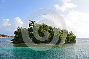 Monkey Island, Jamaica photo