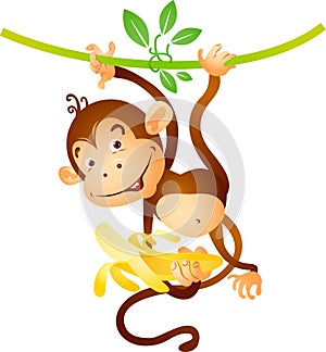 Monkey on liana photo