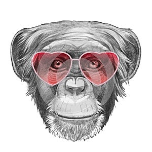 Monkey in Love! Portrait of Monkey with heart shaped sunglasses.