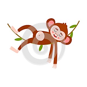 Monkey lying and sleeping on tree branch vector illustration
