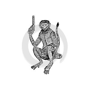 Monkey pirate with a revolver. Animal character. Engraved hand drawn, vintage sketch for tattoo or print on t-shirt.