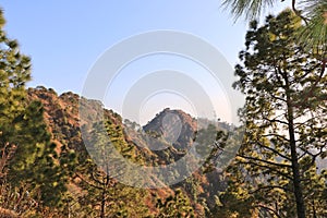 Monkey Point, Kasauli