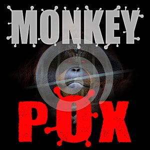 Monkey pox concept