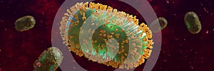 Monkeypox viruses, infectious double-stranded DNA zoonotic virus photo