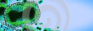 Monkeypox virus, infectious zoonotic disease, background banner with empty space photo