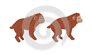 Monkey or Primate as Human Evolution Stage and Gradual Development Vector Set
