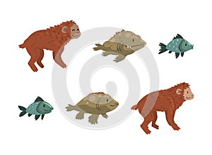 Monkey or Primate and Fish as Human Evolution Stage and Gradual Development Vector Set