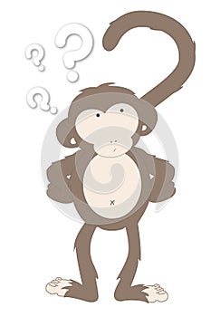 Monkey question