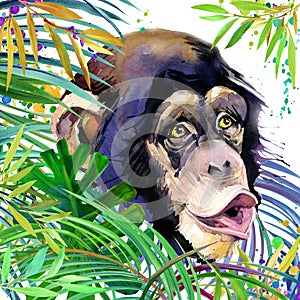 Monkey in the rainforest. watercolor tropical nature illustration. wildlife.