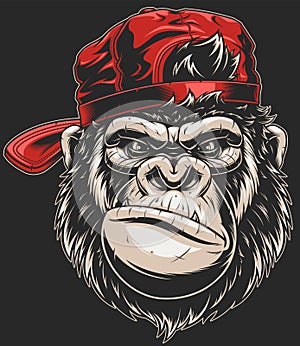 Monkey`s head in a baseball cap