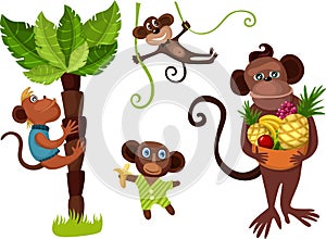 Monkey set