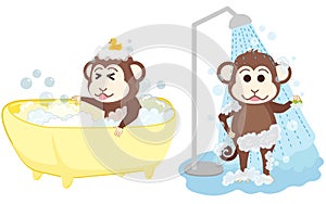 Monkey shower and bathe at bathroom.