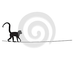 Monkey silhouette on wire, vector. Monkey black and white illustration isolated on white background