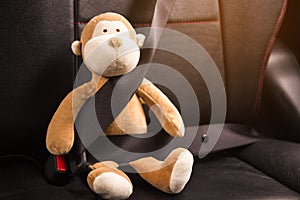 Monkey sitting belt in the car.