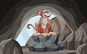 A monkey sitting on rocks in a cave