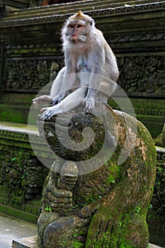 Monkey sitting on top of a statue in Monkey Forest at Ubud