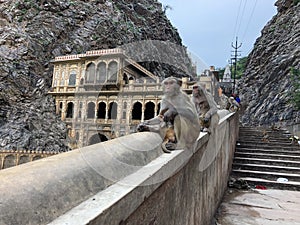 Monkey temple in India photo