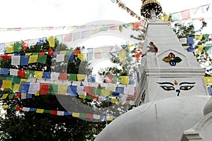 Monkey Temple view