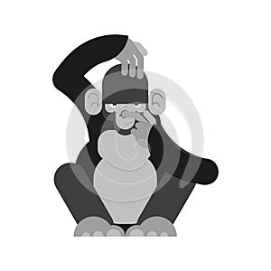 Monkey thinks and sucks finger. Chimpanzee ponders