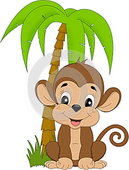 Monkey under palmtree