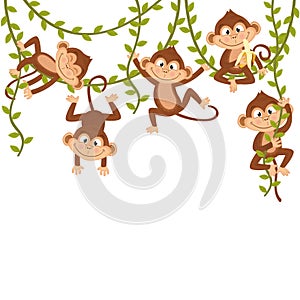 Monkey on vine photo