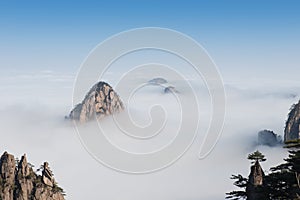 Monkey watch sea cloud ,Mt. Huangshan in Anhui, China