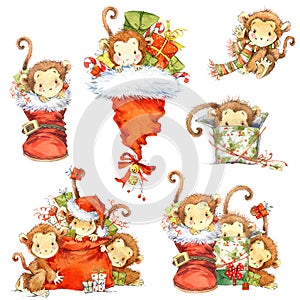 Monkey Year set. Funny cartoon monkey. Watercolor monkey and New Year decoration elements.