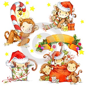 Monkey Year set. Funny cartoon monkey. Watercolor monkey and New Year decoration elements.