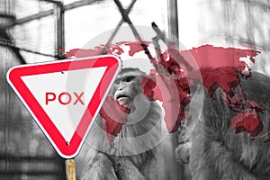 Monkeypox new disease dangerous over the world. Monkeypox virus photo