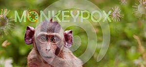 Monkeypox outbreak concept. Monkeypox is caused by monkeypox virus. Monkeypox is a viral zoonotic disease. Virus transmitted to