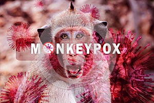 Monkeypox outbreak concept. Monkeypox is caused by monkeypox virus. Monkeypox is a viral zoonotic disease. Virus transmitted to