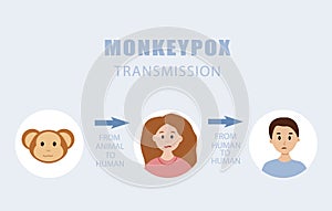 Monkeypox transmission explanation with infographics. Spreading of virus from animal. photo