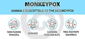 Monkeypox virus animals susceptible icons infographic. New outbreak cases in Europe and USA
