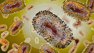 Monkeypox virus closeup, contagious pathogen photo