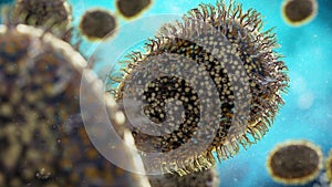 Monkeypox virus, contagious microscopic pathogen closeup, infectious zoonotic disease 3d science rendering