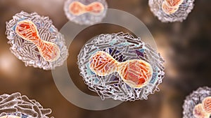 Monkeypox virus, 3D illustration photo