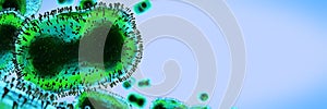 Monkeypox virus, infectious zoonotic disease, background banner with empty space