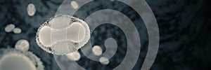 Monkeypox virus, infectious zoonotic disease, close-up, background banner with empty space