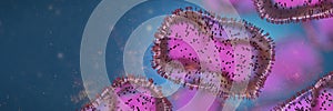 Monkeypox viruses, infectious zoonotic disease, background banner with empty space
