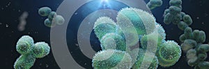 Monkeypox viruses, microscopic pathogen closeup, infectious zoonotic disease, background banner format 3d microbiology