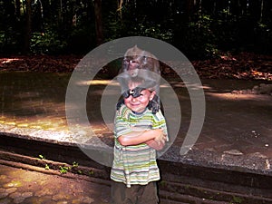 Monkeys attacking children