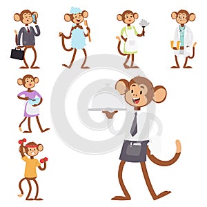 Monkeys rare animal vector cartoon macaque like people nature primate character wild zoo ape chimpanzee illustration.