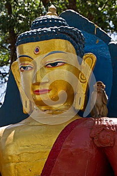 Monkeys of Swayambunath Stupa kathmandu, Nepal