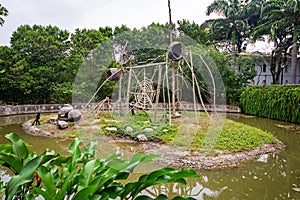 Monkeys in their home in a park