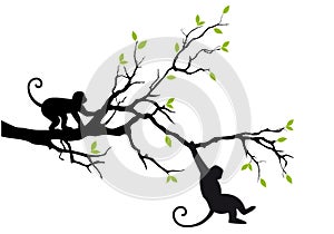 Monkeys on tree, vector
